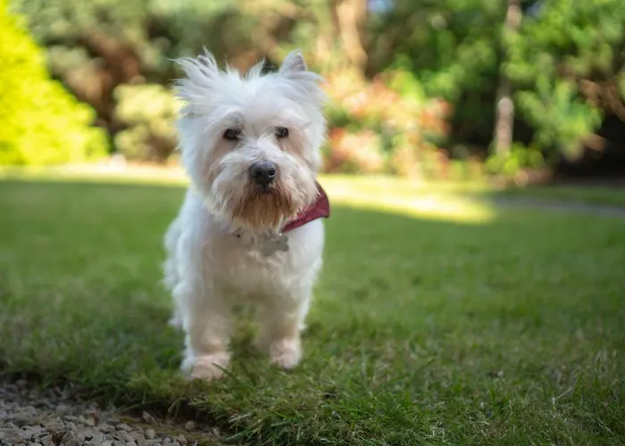 Гостевой дом Pier House *