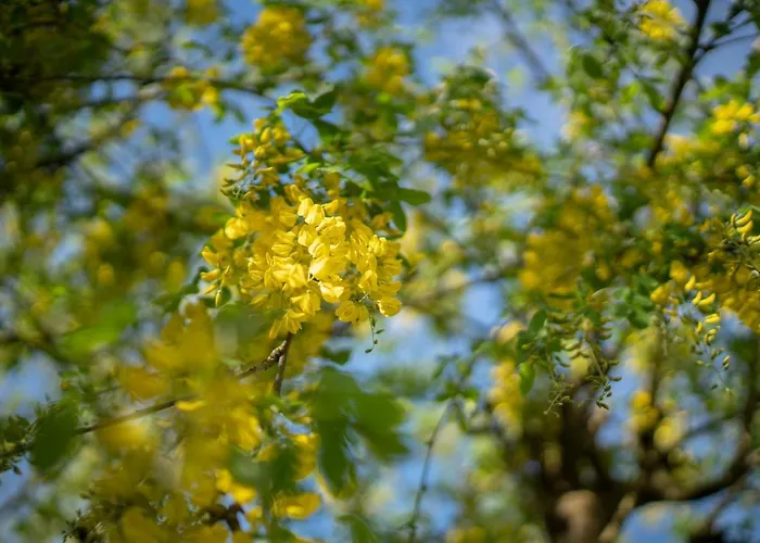 Pier House Гостевой дом Кинсэйл